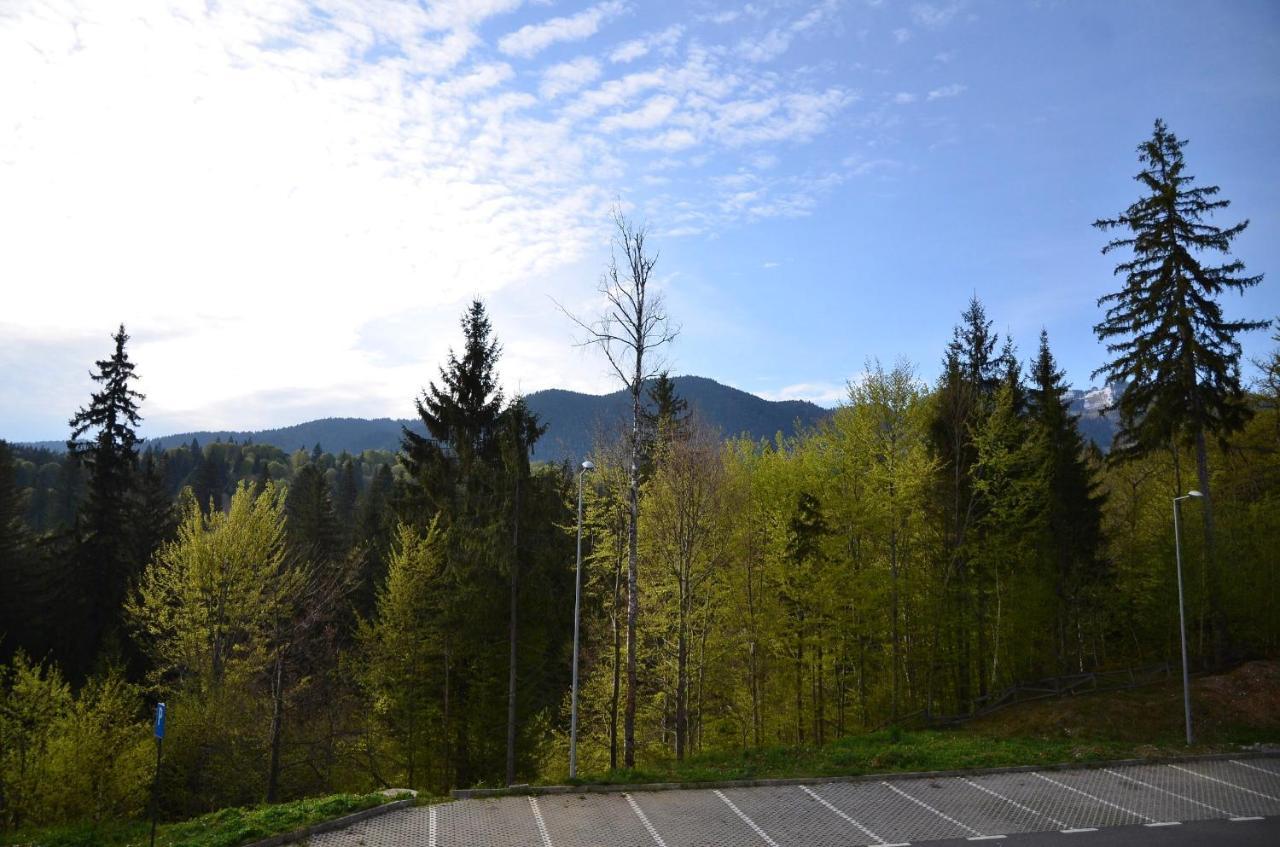 Silver Pine Apartment Poiana Brasov Exterior photo